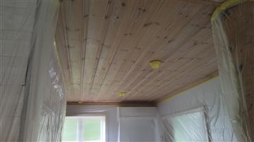 Paneltak före första strykning